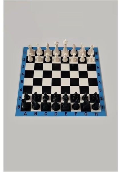 Ahşap Satranç Strateji Oyunu