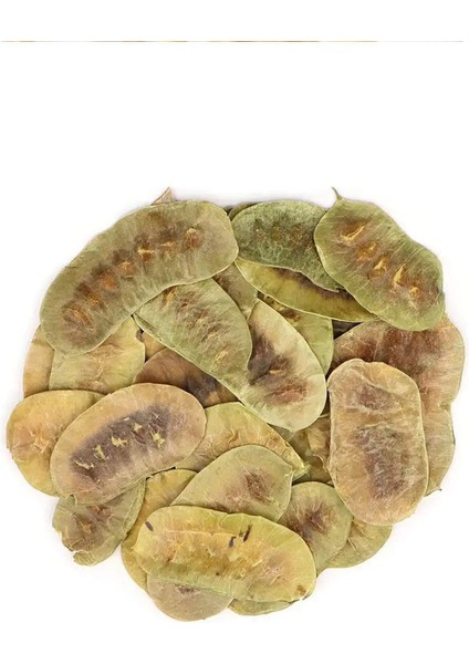 Organik Taze Dökme Açlık Otu 250 gr