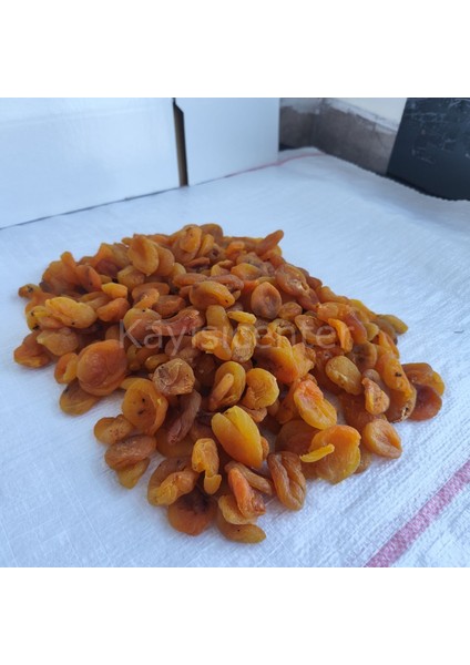 Toptan Parçalı Sarı Kayısı Kurusu 10KG fırsatları