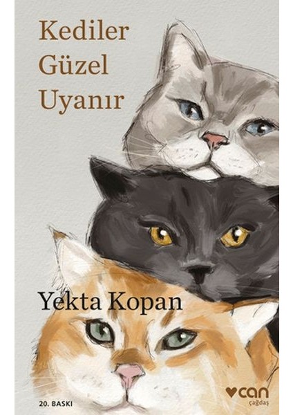 Kediler Güzel Uyanır