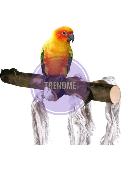 Trendme Doğal Ipli Papağan Kuş Tüneği fiyatları