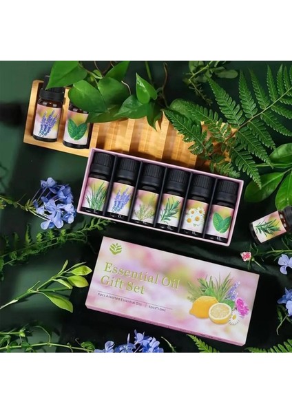 6'lı Ekonomi Karışık Set Esansiyel Uçucu Yağı Buhardanlık Difüzör Esansı Oda Kokusu