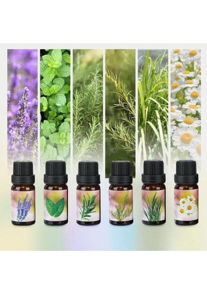 6'lı Ekonomi Karışık Set Esansiyel Uçucu Yağı Buhardanlık Difüzör Esansı Oda Kokusu fiyatları