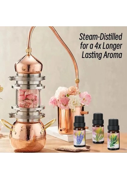 6'lı Ekonomi Karışık Set Esansiyel Uçucu Yağı Buhardanlık Difüzör Esansı Oda Kokusu fırsatları