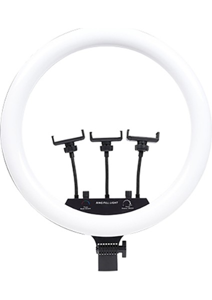 Rgb Ringlight 54CM Işıklı 3'lü Telefon Tutucu LED Selfie Youtuber Tiktok Işığı Kumandalı Mj-56 fiyatları