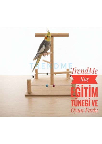 Trendme Kuş T Tüneği Eğitim Oyun Alanı
