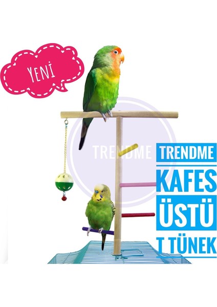 Trendme Kafes Üstü Basamaklı Kuş T Tünek ( Sultan,cennet,muhabbet Vb.)