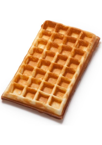 Glanz Neumarker Kant Waffle Plakası