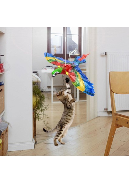 Uçan Papağan Kedi Oyuncağı