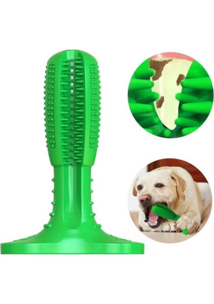 Köpek Diş Temizleyici Oyuncak Büyük modelleri