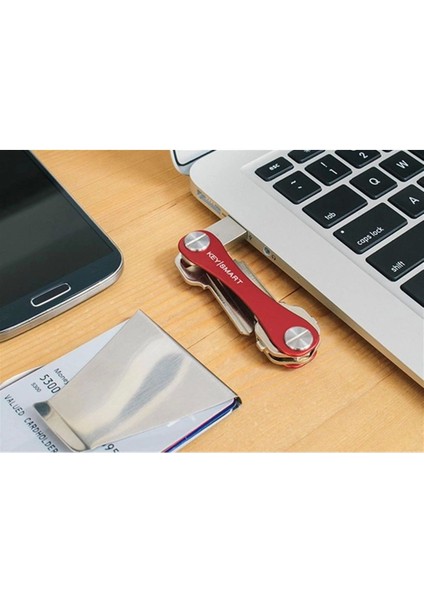 Pratik Akılllı Anahatarlık Anahtar Düzenleyici Aparat modelleri