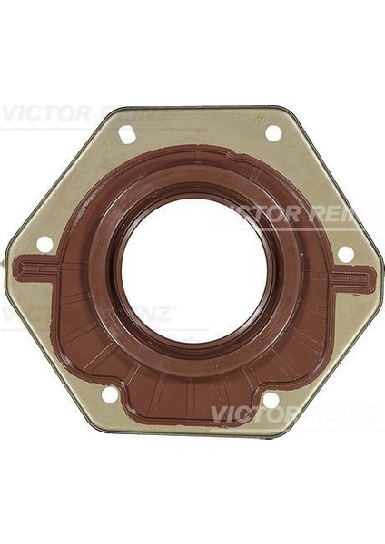 V.reınz 811017300 - Yağ Krank Keçesi