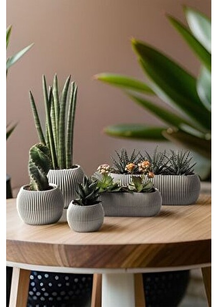 TeknoTrust 5 Parça Mercan Saksı Seti, Bej Renk, Dayanıklı Plastik Malzeme ile Ev Dekorasyonu indirimleri