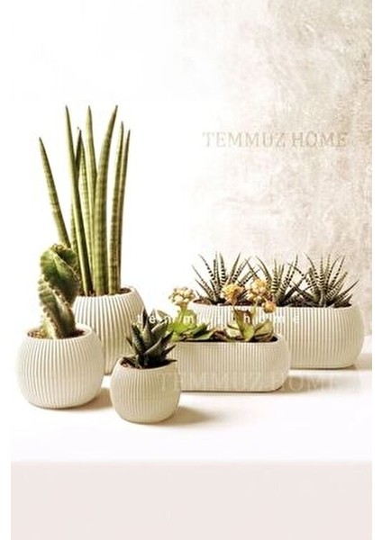 TeknoTrust 5 Parça Mercan Saksı Seti, Bej Renk, Dayanıklı Plastik Malzeme ile Ev Dekorasyonu