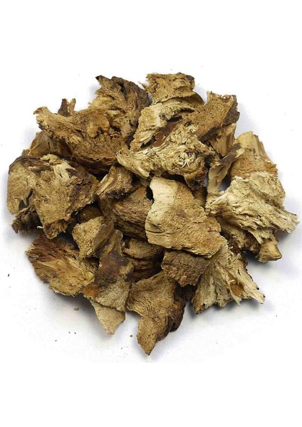 Çakşır Otu Kökü 100G fiyatları