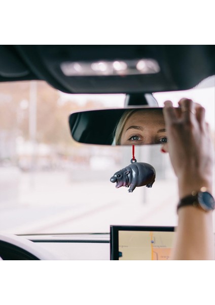 Hayvan Süsleri Minyatür Hayvan Kolye Reçine Ev Araba Kolye Dekorasyon Araba Kolye (Yurt Dışından) fiyatları