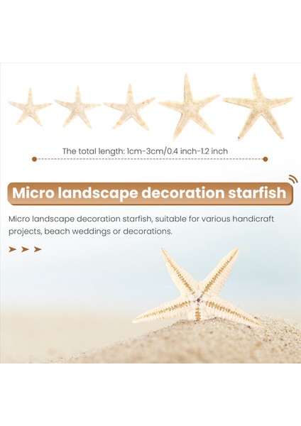 Küçük Denizyıldızı Yıldız Deniz Kabuğu Plaj Zanaat 0.4 Inç-1.2 Inç 90 Adet (Yurt Dışından) indirimleri