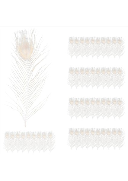 50 Adet/doğal Beyaz Tavus Kuşu Tüyleri, Tavus Kuşu Tüyü Düğün Dekorasyonunun 10 Ila 12 Inç (Yurt Dışından)