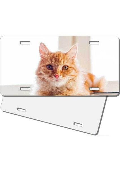 14 Paket Süblimasyon Plakası Boşlukları, Kalınlık 0.65MM Metal Otomotiv Süblimasyon Plakaları Etiketi (Yurt Dışından)