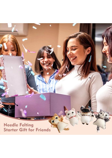 Iğne Keçe Kiti - Yeni Başlayanlar Için Keçi Kitleri Yetişkin, 4 Pc Dıy Kedi Broş Yün Keçe Kiti Öğretim, Yetişkinler Için (Yurt Dışından) modelleri