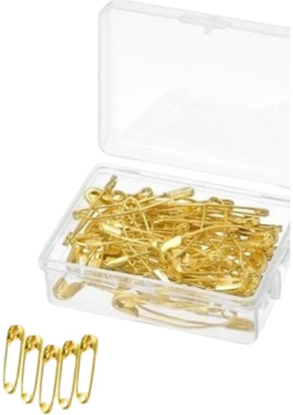Çengelli Iğne 50'li Altın Kutuda 3cm
