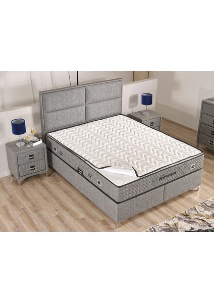 Nırvana Baslık fiyatları