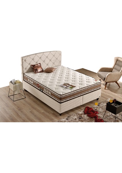 Cashmere Plus Baslık modelleri