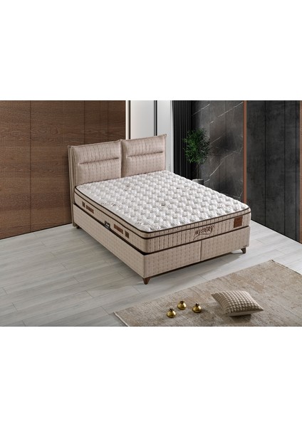 Mystrey Plus Baslık