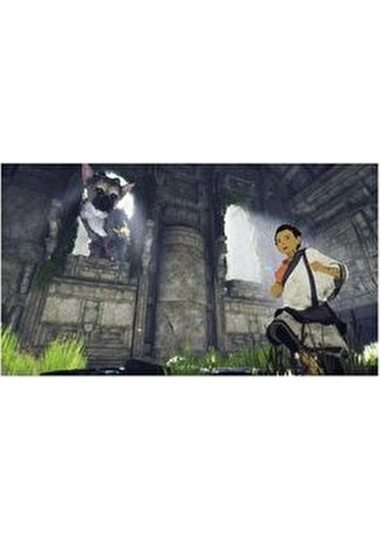 The Last Guardian PS4 Oyun Aksiyon ve Macera Türünde Türkçe Altyazı Desteği ile fiyatları