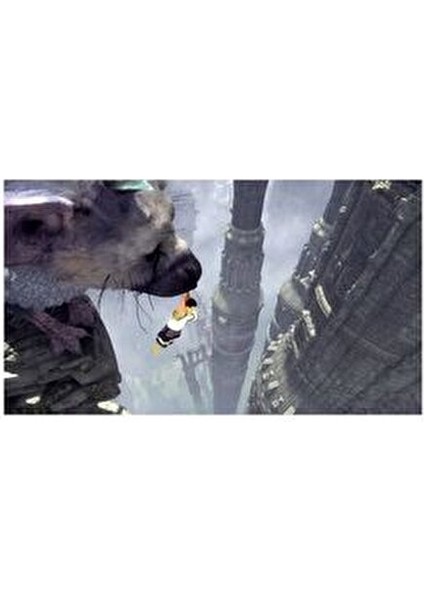 The Last Guardian PS4 Oyun Aksiyon ve Macera Türünde Türkçe Altyazı Desteği ile modelleri