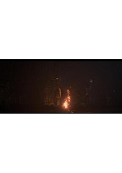 Dark Souls 3 PS4 Aksiyon RPG Oyun Gençler İçin Multiplayer Desteği fiyatları