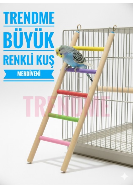 Trendme Büyük Ahşap Kuş Merdiveni 30 cm (Renkli)