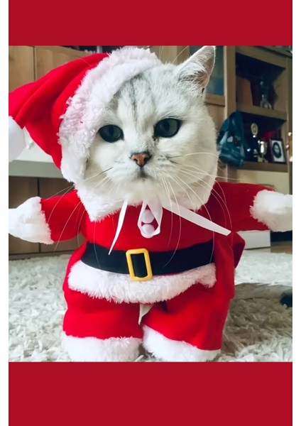 Şenlikli Noel Baba Köpek Kostüm Seti – Küçük Irklar Için Sıcak Polyester Tulum, Kazak Tasarım Evcil Hayvan Kıyafeti-L Beden modelleri