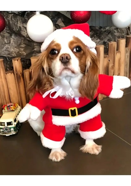 Şenlikli Noel Baba Köpek Kostüm Seti – Küçük Irklar Için Sıcak Polyester Tulum, Kazak Tasarım Evcil Hayvan Kıyafeti-L Beden