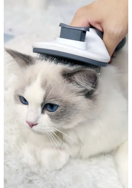 Kedi Köpek Tüy Toplayıcı Kendini Temizleyebilen Ergonomik Rahat Evcil Hayvan Tarağı Gri