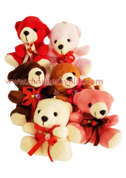 Ayıcık Anahtarlik fiyatları