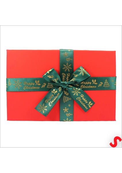 Kırmızı Kapaklı Fiyonklu Yeşil Kutu, 21 cm - Orta Boy modelleri