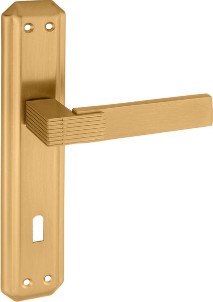 Premium Ahenk Gizem Aynalı Kapı Kolu (Oda-Wc-Yale Kilit Tipleri)(Takım) Mat Siyah