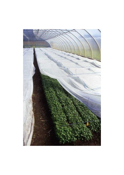 40GR Don Kırağı Örtüsü 160CM x 500M