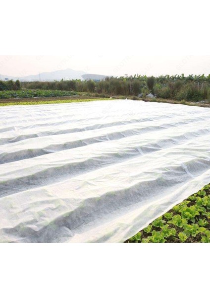 40GR Don Kırağı Örtüsü 160CM x 500M fiyatları