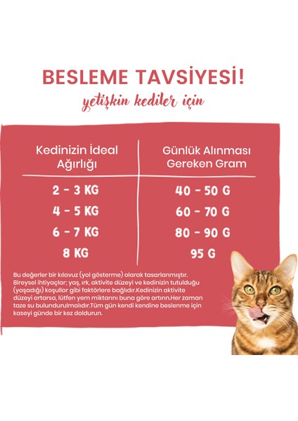 Gastrointestinal Yetişkin Kedi Maması 8 kg fiyatları