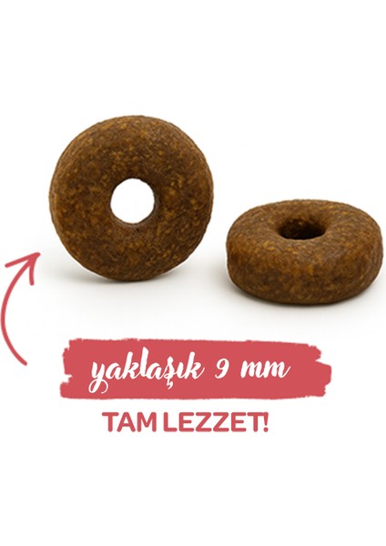 Gastrointestinal Yetişkin Kedi Maması 8 kg fırsatları