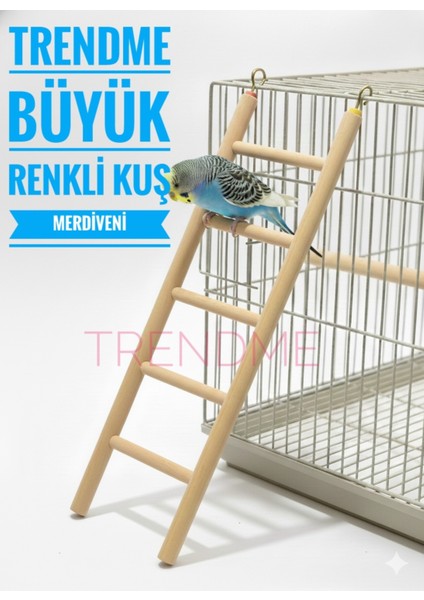 Trendme Büyük Ahşap Kuş Merdiveni 30 cm ( Boyasız )