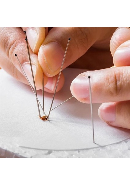 700PCS Örnek Böcek Pimleri Epoksi Reçine Kafalı Paslanmaz Çelik Böcek Pimleri Örneği Entomoloji Pimleri (Yurt Dışından) modelleri