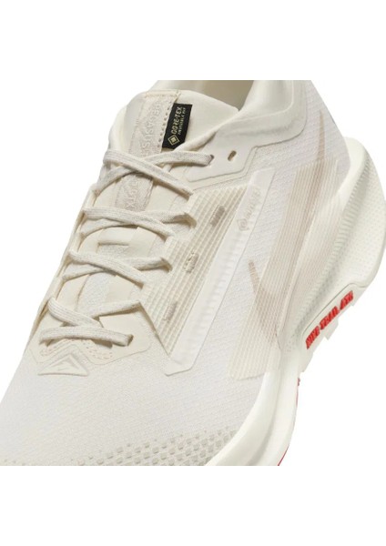 Pegasus Trail 5 Gore-Tex Erkek Koşu Ayakkabısı indirimleri