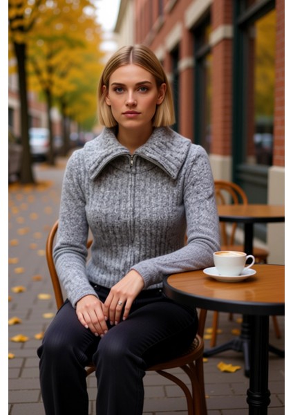 Kadın Sakal Iplik Fitilli Dokuma Fermuarlı Triko Hırka Uzun Kollu Devrik Yaka fiyatları