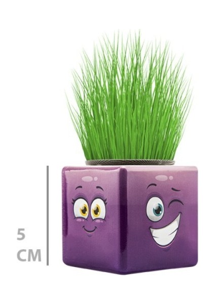 Çim Adam Mini Küp Emoji Figürlü 1 Adet modelleri