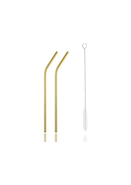 Mithra Life 2 Adet Metal Paslanmaz Pipet ve Temizleme Fırçası MIT1217