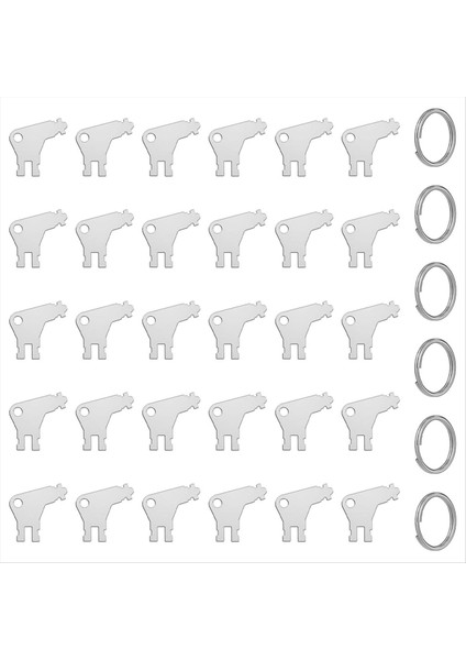 Kağıt Havlu Dağıtıcı Tuşu 30 Adet Kağıt Havlu ve Dağıtıcıları Için 6 Anahtar Halkalı Evrensel Dağıtıcı Anahtarı (Yurt Dışından)