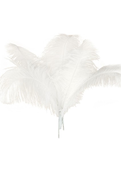 10 Adet Doğal Devekuşu Tüyleri Düğün Partisi Dekorasyonu Beyaz 45-50CM (Yurt Dışından)